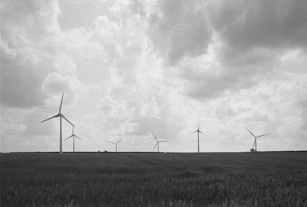 field of wind turbines